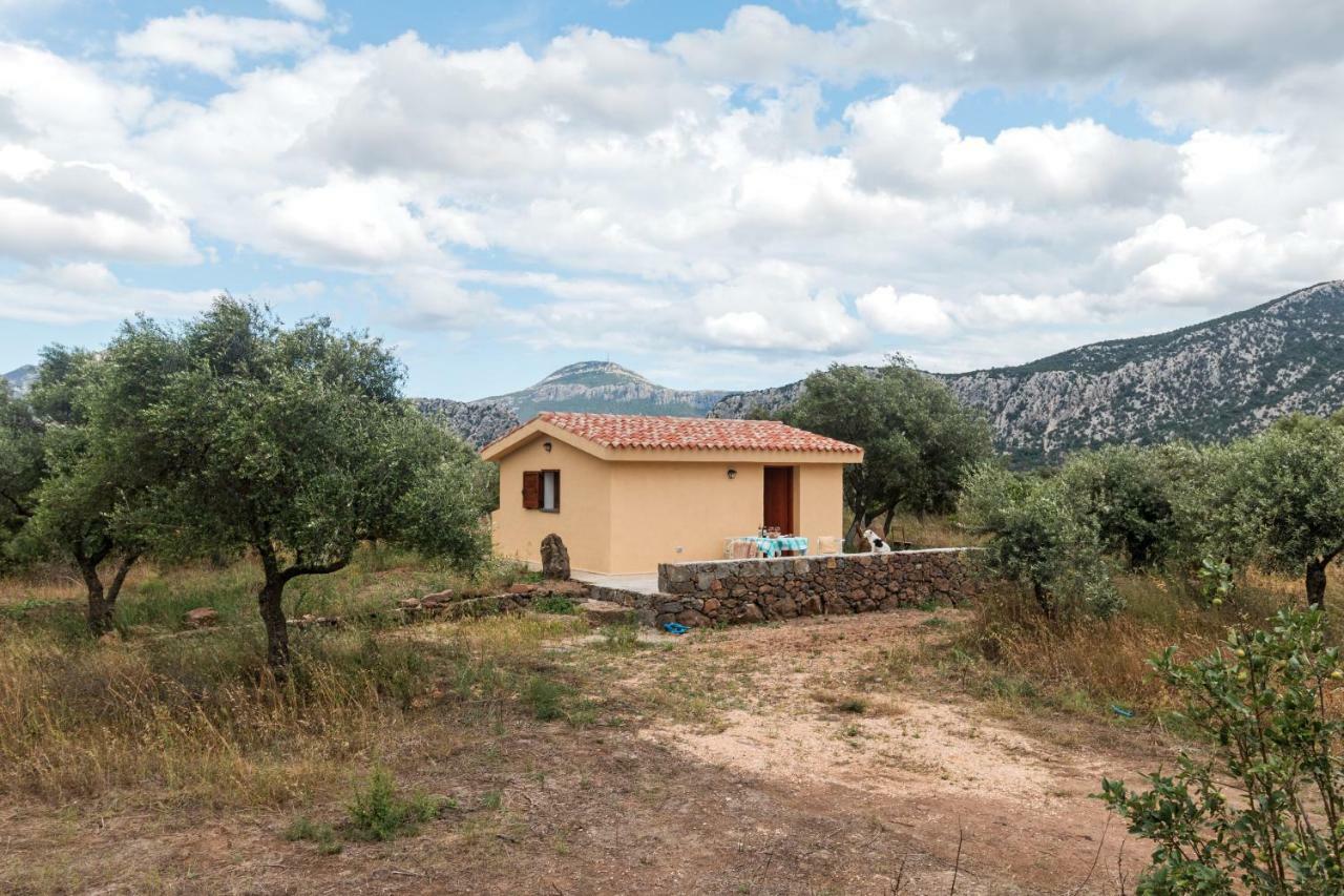 S'Ulumu Guest House Dorgali Exterior foto