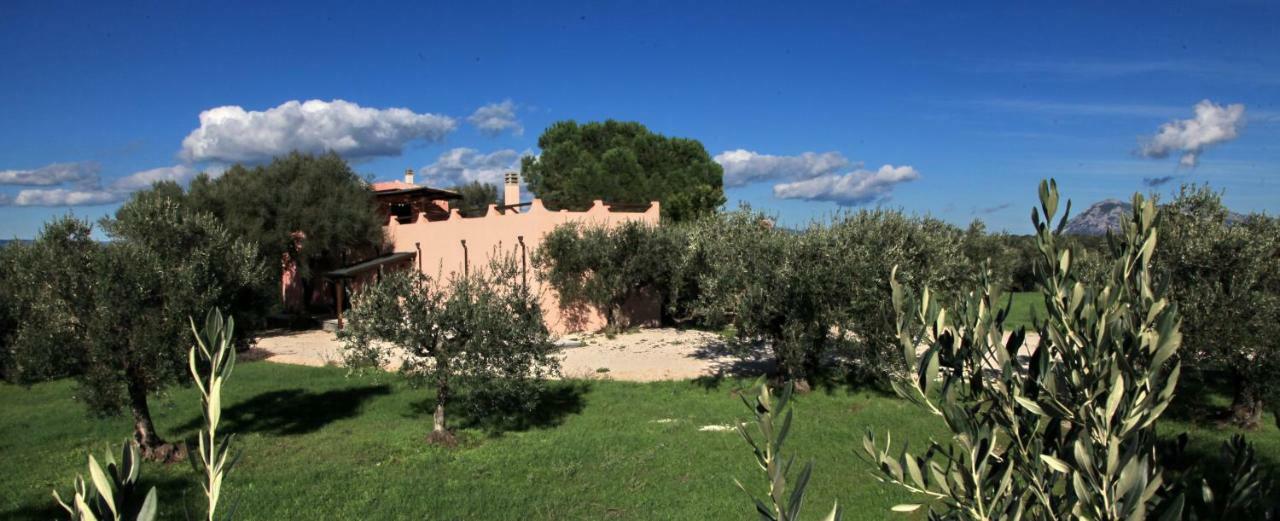 S'Ulumu Guest House Dorgali Exterior foto