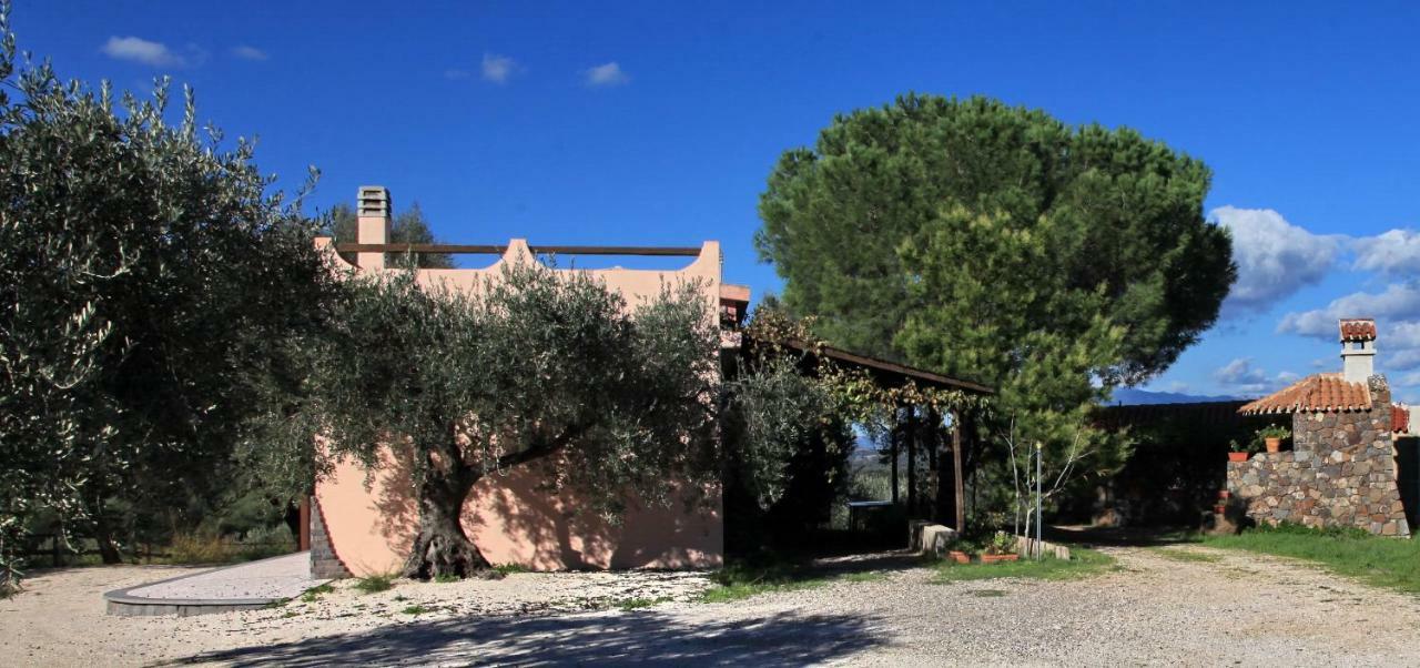S'Ulumu Guest House Dorgali Exterior foto